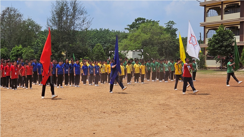 sfs photo
